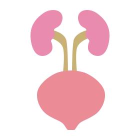 その他の泌尿器科疾患